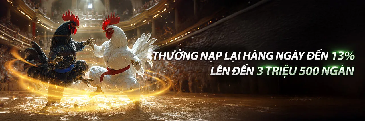 Giá trị cốt lõi của SM66: Minh bạch, an toàn và đổi mới